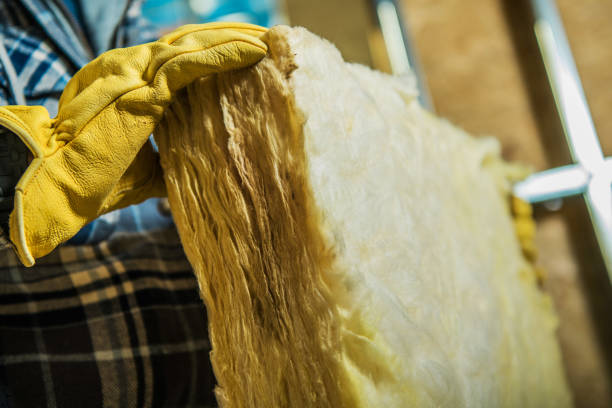 Best Cellulose Insulation in Cramerton, NC